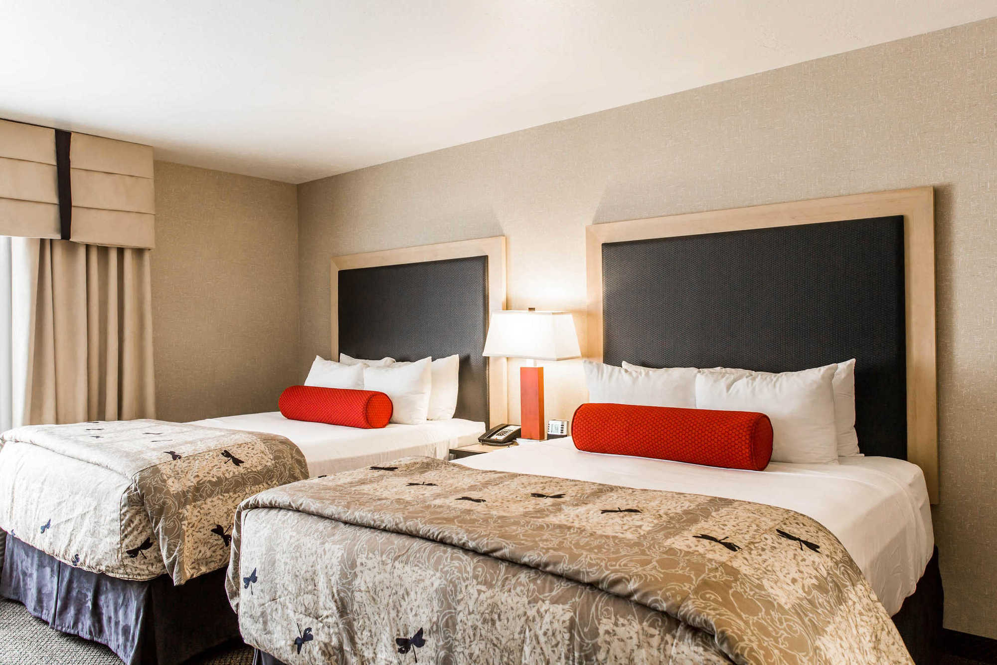 Springhill Suites By Marriott Roanoke Zimmer foto