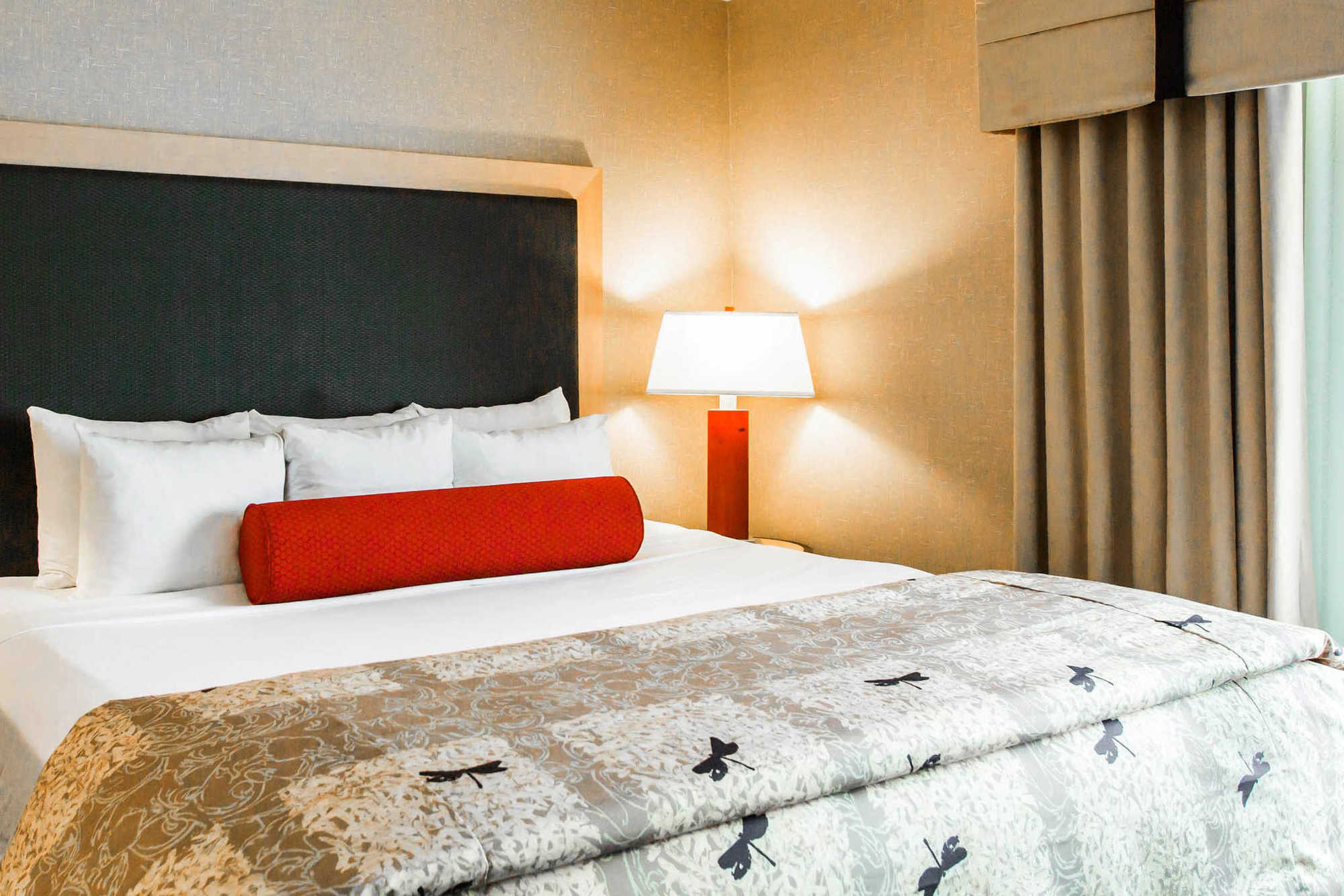 Springhill Suites By Marriott Roanoke Zimmer foto