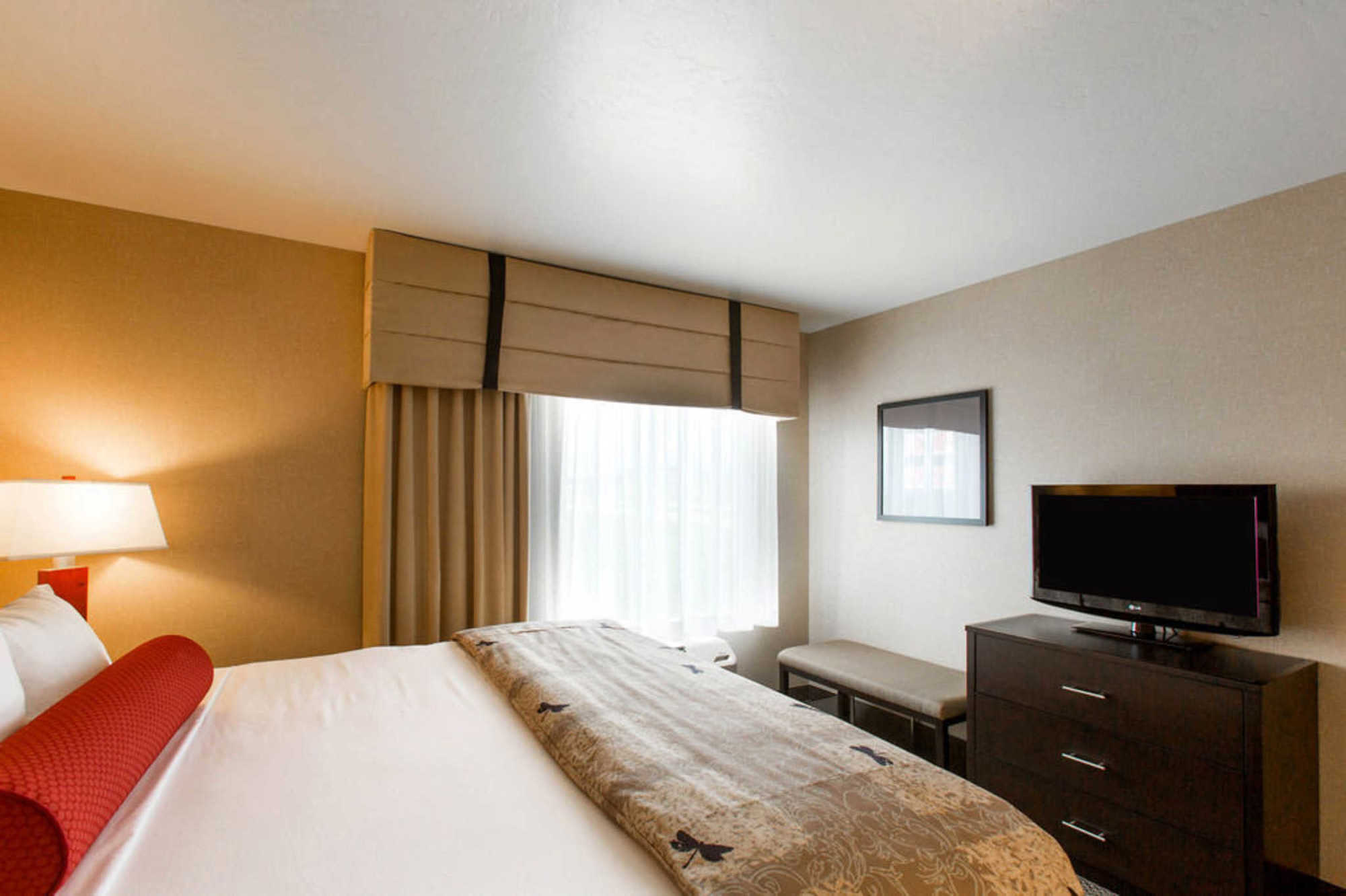 Springhill Suites By Marriott Roanoke Zimmer foto