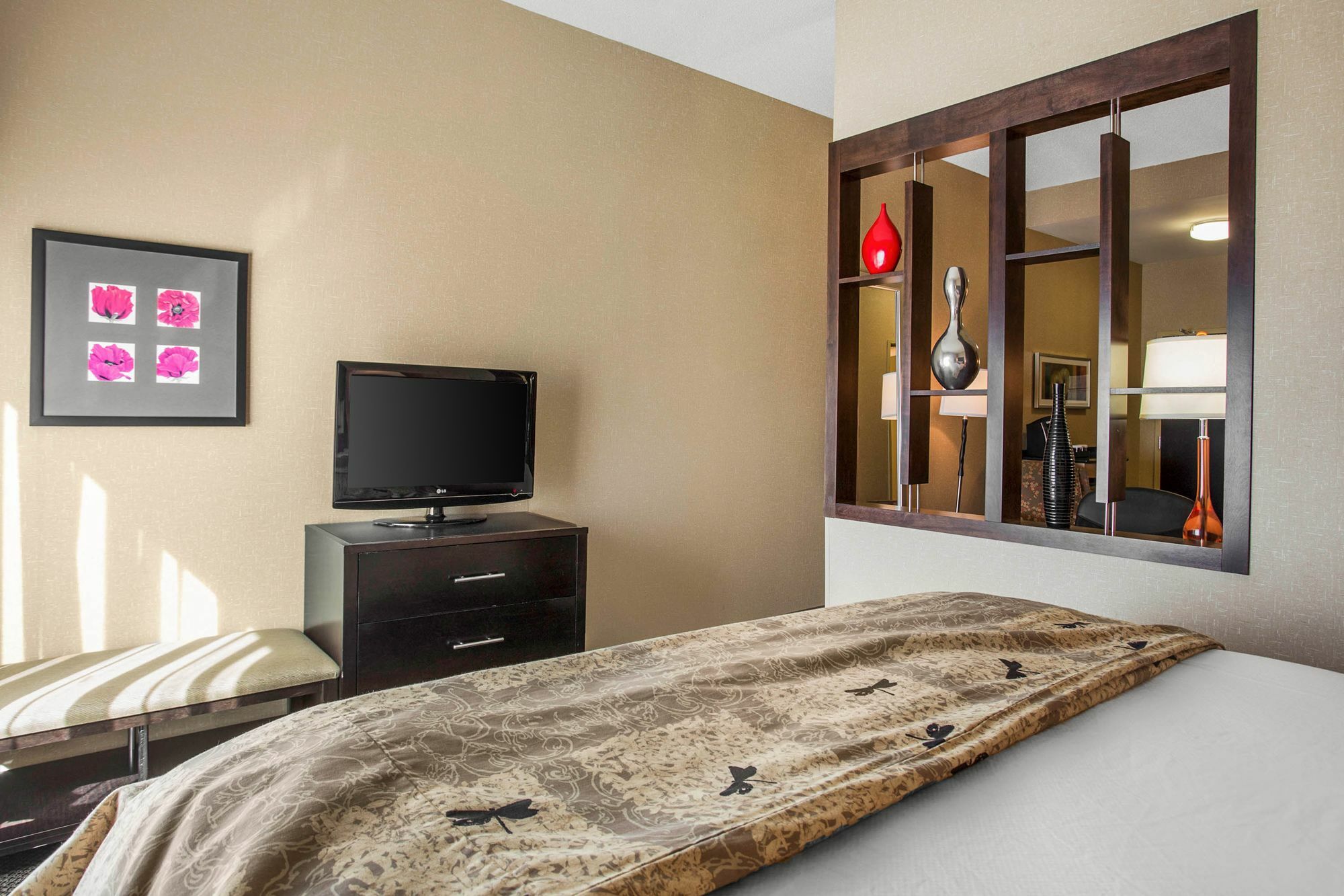 Springhill Suites By Marriott Roanoke Exterior foto