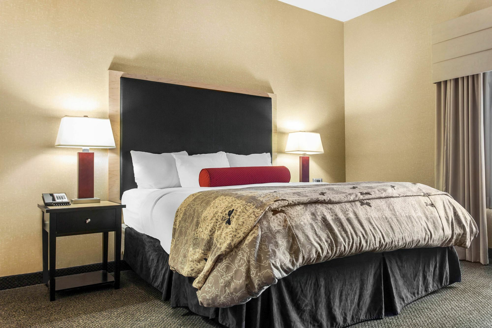 Springhill Suites By Marriott Roanoke Exterior foto