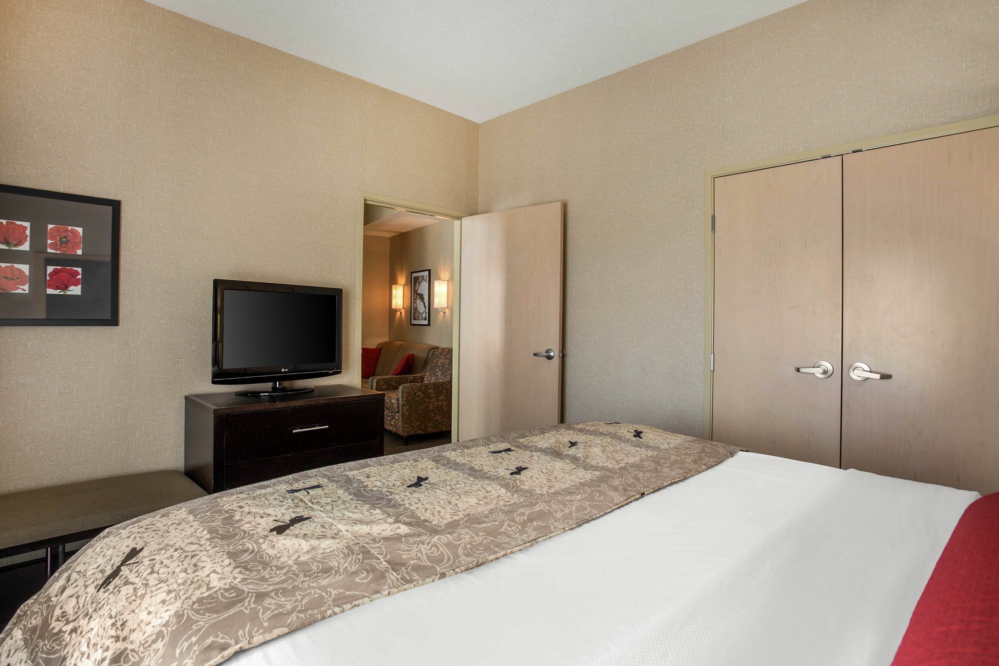 Springhill Suites By Marriott Roanoke Exterior foto