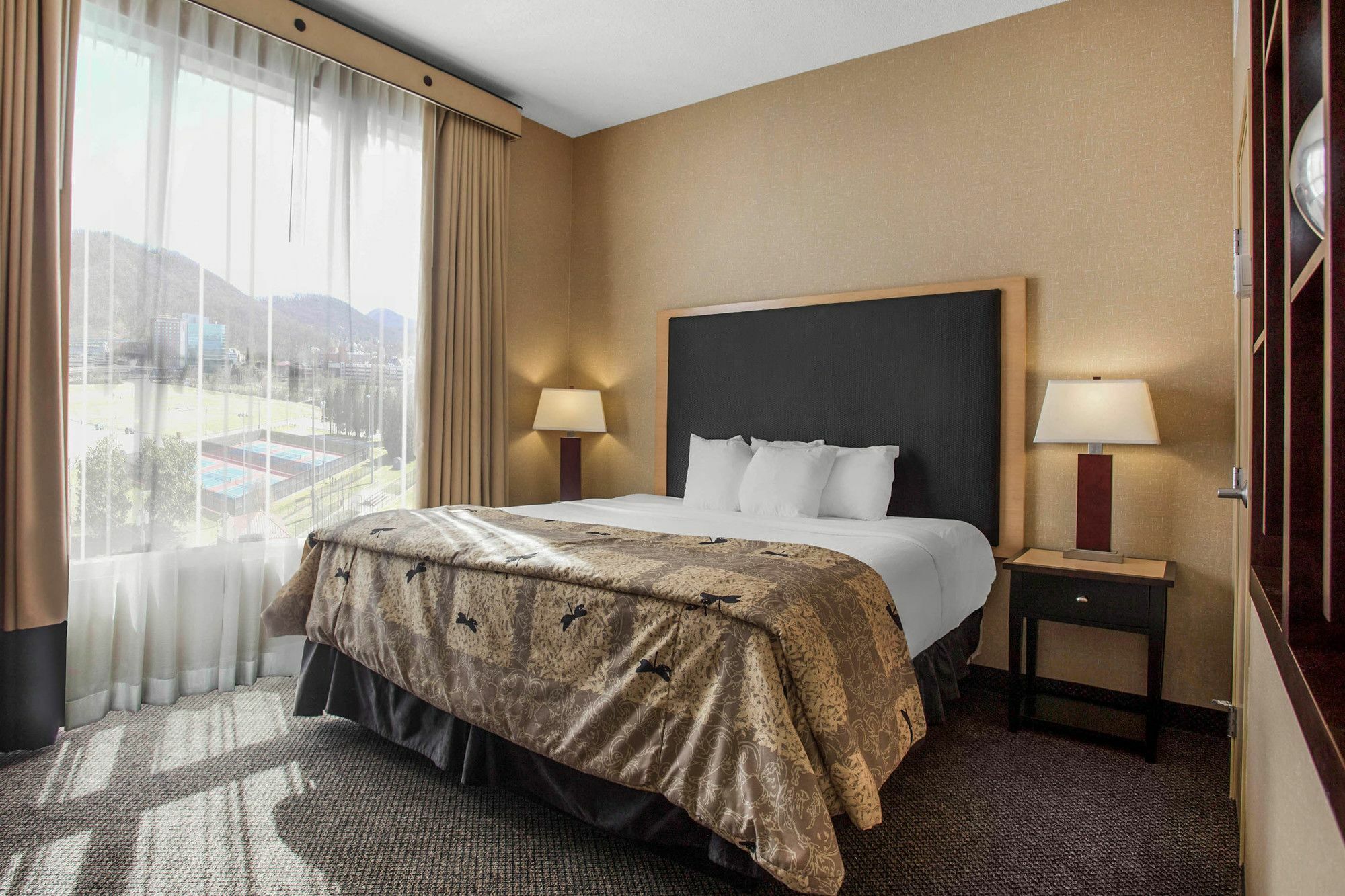 Springhill Suites By Marriott Roanoke Exterior foto